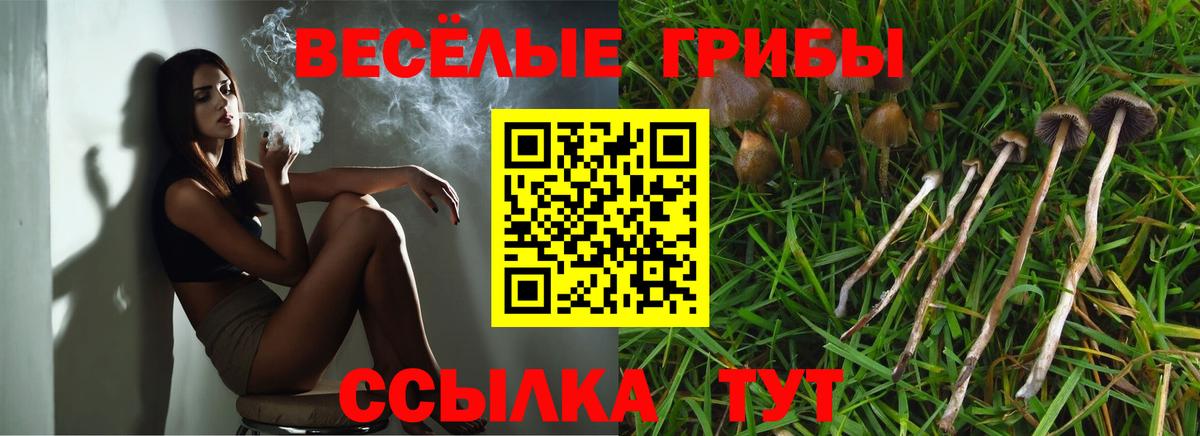 Псилоцибиновые грибы Psilocybine cubensis  Вход с VPN  Шадринск 